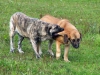 Filename=sep_.jpg
Filesize=60KiB
Dimensions=640x480
Date added=%420 %02, %2006 sep_.jpg