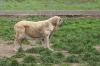 Filename=serena.jpg
Filesize=56KiB
Dimensions=587x393
Date added=%417 %01, %2006 serena.jpg