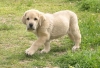 Filename=sobia12_pg.jpg
Filesize=69KiB
Dimensions=600x410
Date added=%505 %26, %2006 sobia12_pg.jpg