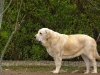 Filename=sobia301.jpg
Filesize=76KiB
Dimensions=700x525
Date added=%547 %26, %2006 sobia301.jpg