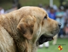 Filename=sofia_sol.jpg
Filesize=100KiB
Dimensions=960x744
Date added=%676 %18, %2014 sofia_sol.jpg