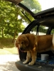 Filename=sofie11.jpg
Filesize=144KiB
Dimensions=611x800
Date added=%944 %31, %2009 sofie11.jpg