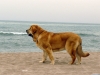 Filename=sofie21.jpg
Filesize=388KiB
Dimensions=1500x1125
Date added=%944 %31, %2009 sofie21.jpg