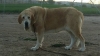 Filename=soledad--2C.jpg
Filesize=71KiB
Dimensions=960x540
Date added=%375 %21, %2019 soledad--2C.jpg