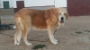 Filename=soledad-2C.jpg
Filesize=54KiB
Dimensions=960x540
Date added=%375 %21, %2019 soledad-2C.jpg