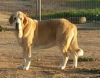Filename=soledad.jpg
Filesize=39KiB
Dimensions=578x452
Date added=%375 %21, %2019 soledad.jpg