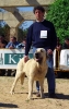Filename=soto26-b.jpg
Filesize=76KiB
Dimensions=567x900
Date added=%486 %03, %2007 soto26-b.jpg