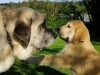 Filename=sou3.jpg
Filesize=42KiB
Dimensions=533x400
Date added=%717 %01, %2007 sou3.jpg