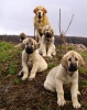 Filename=sout2.jpg
Filesize=49KiB
Dimensions=396x500
Date added=%750 %01, %2007 sout2.jpg
