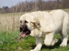 Filename=soute2.jpg
Filesize=50KiB
Dimensions=533x400
Date added=%751 %01, %2007 soute2.jpg