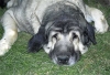 Filename=sover.jpg
Filesize=38KiB
Dimensions=700x480
Date added=%549 %18, %2006 sover.jpg