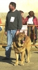 Filename=sultan2.jpg
Filesize=46KiB
Dimensions=255x462
Date added=%345 %21, %2006 sultan2.jpg