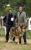 Filename=sultan55.jpg
Filesize=40KiB
Dimensions=382x600
Date added=%720 %23, %2006 sultan55.jpg