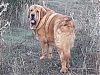 Filename=sultan~2.jpg
Filesize=127KiB
Dimensions=960x720
Date added=%527 %04, %2020 sultan~2.jpg