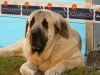 Filename=sunday-bardo1.jpg
Filesize=123KiB
Dimensions=800x600
Date added=%892 %31, %2009 sunday-bardo1.jpg