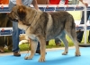 Filename=sunday-duque4.jpg
Filesize=126KiB
Dimensions=745x550
Date added=%877 %31, %2009 sunday-duque4.jpg