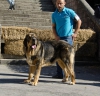 Filename=tajo_de_riolago.jpg
Filesize=175KiB
Dimensions=960x925
Date added=%735 %05, %2015 tajo_de_riolago.jpg