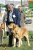 Filename=teleno_vicheriza.jpg
Filesize=106KiB
Dimensions=640x960
Date added=%990 %11, %2014 teleno_vicheriza.jpg