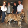 Filename=tigrin.jpg
Filesize=280KiB
Dimensions=951x960
Date added=%861 %11, %2019 tigrin.jpg