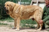 Filename=titan-b.jpg
Filesize=51KiB
Dimensions=540x360
Date added=%478 %03, %2015 titan-b.jpg