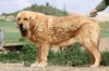 Filename=titan.jpg
Filesize=33KiB
Dimensions=552x368
Date added=%479 %03, %2015 titan.jpg
