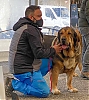 Filename=tizona-1.jpg
Filesize=196KiB
Dimensions=1426x1600
Date added=%895 %02, %2022 tizona-1.jpg