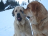 Filename=tm.jpg
Filesize=50KiB
Dimensions=1000x750
Date added=%414 %02, %2007 tm.jpg