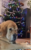 Filename=tornado_erben~0.jpg
Filesize=231KiB
Dimensions=1263x2015
Date added=%048 %01, %2021 tornado_erben~0.jpg