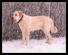 Filename=torodecember2004b.jpg
Filesize=74KiB
Dimensions=642x522
Date added=%358 %20, %2006 torodecember2004b.jpg