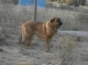 Filename=triana.jpg
Filesize=50KiB
Dimensions=670x502
Date added=%714 %02, %2019 triana.jpg