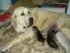 Filename=trini.jpg
Filesize=37KiB
Dimensions=640x480
Date added=%785 %23, %2006 trini.jpg