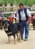 Filename=truman-99.jpg
Filesize=76KiB
Dimensions=656x900
Date added=%729 %03, %2007 truman-99.jpg