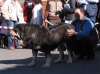 Filename=truman11-2.jpg
Filesize=31KiB
Dimensions=600x445
Date added=%460 %03, %2006 truman11-2.jpg