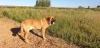 Filename=tyron_de_abelgas-.jpg
Filesize=336KiB
Dimensions=1317x640
Date added=%078 %17, %2019 tyron_de_abelgas-.jpg