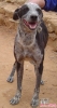 Filename=ubeda-bobo.jpg
Filesize=58KiB
Dimensions=300x562
Date added=%813 %26, %2009 ubeda-bobo.jpg