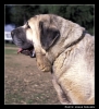 Filename=ulises03.jpg
Filesize=55KiB
Dimensions=442x482
Date added=%454 %24, %2006 ulises03.jpg