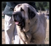 Filename=ulises04.jpg
Filesize=53KiB
Dimensions=542x492
Date added=%455 %24, %2006 ulises04.jpg