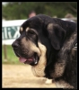 Filename=ulisesdebabia.jpg
Filesize=64KiB
Dimensions=762x862
Date added=%789 %25, %2006 ulisesdebabia.jpg