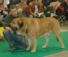 Filename=wds-drakon_beark_cerny_levh.jpg
Filesize=23KiB
Dimensions=473x397
Date added=%007 %12, %2006 wds-drakon_beark_cerny_levh.jpg