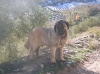 Filename=xana1.jpg
Filesize=64KiB
Dimensions=500x370
Date added=%915 %27, %2006 xana1.jpg