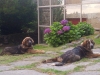 Filename=xata-xiada.jpg
Filesize=108KiB
Dimensions=960x720
Date added=%389 %29, %2014 xata-xiada.jpg
