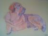 Filename=xeitoxa.jpg
Filesize=43KiB
Dimensions=960x720
Date added=%745 %19, %2014 xeitoxa.jpg