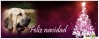 Filename=xmas-pisuena.jpg
Filesize=44KiB
Dimensions=846x331
Date added=%838 %24, %2013 xmas-pisuena.jpg