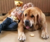 Filename=ydalgo-worldwinner.jpg
Filesize=93KiB
Dimensions=1200x1014
Date added=%392 %05, %2012 ydalgo-worldwinner.jpg