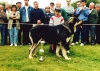 Filename=young_male_winner_chauo.jpg
Filesize=80KiB
Dimensions=800x569
Date added=%769 %09, %2006 young_male_winner_chauo.jpg