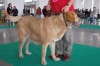 Filename=z-gorzyc.jpg
Filesize=31KiB
Dimensions=640x428
Date added=%885 %11, %2008 z-gorzyc.jpg