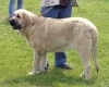 Filename=zazi-hlucin.jpg
Filesize=49KiB
Dimensions=531x425
Date added=%338 %17, %2006 zazi-hlucin.jpg