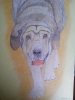 Filename=zeus.jpg
Filesize=97KiB
Dimensions=720x960
Date added=%878 %09, %2014 zeus.jpg