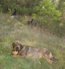 Filename=zoe.jpg
Filesize=243KiB
Dimensions=787x835
Date added=%738 %04, %2016 zoe.jpg