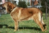 Filename=zumbos.jpg
Filesize=39KiB
Dimensions=400x268
Date added=%462 %29, %2006 zumbos.jpg